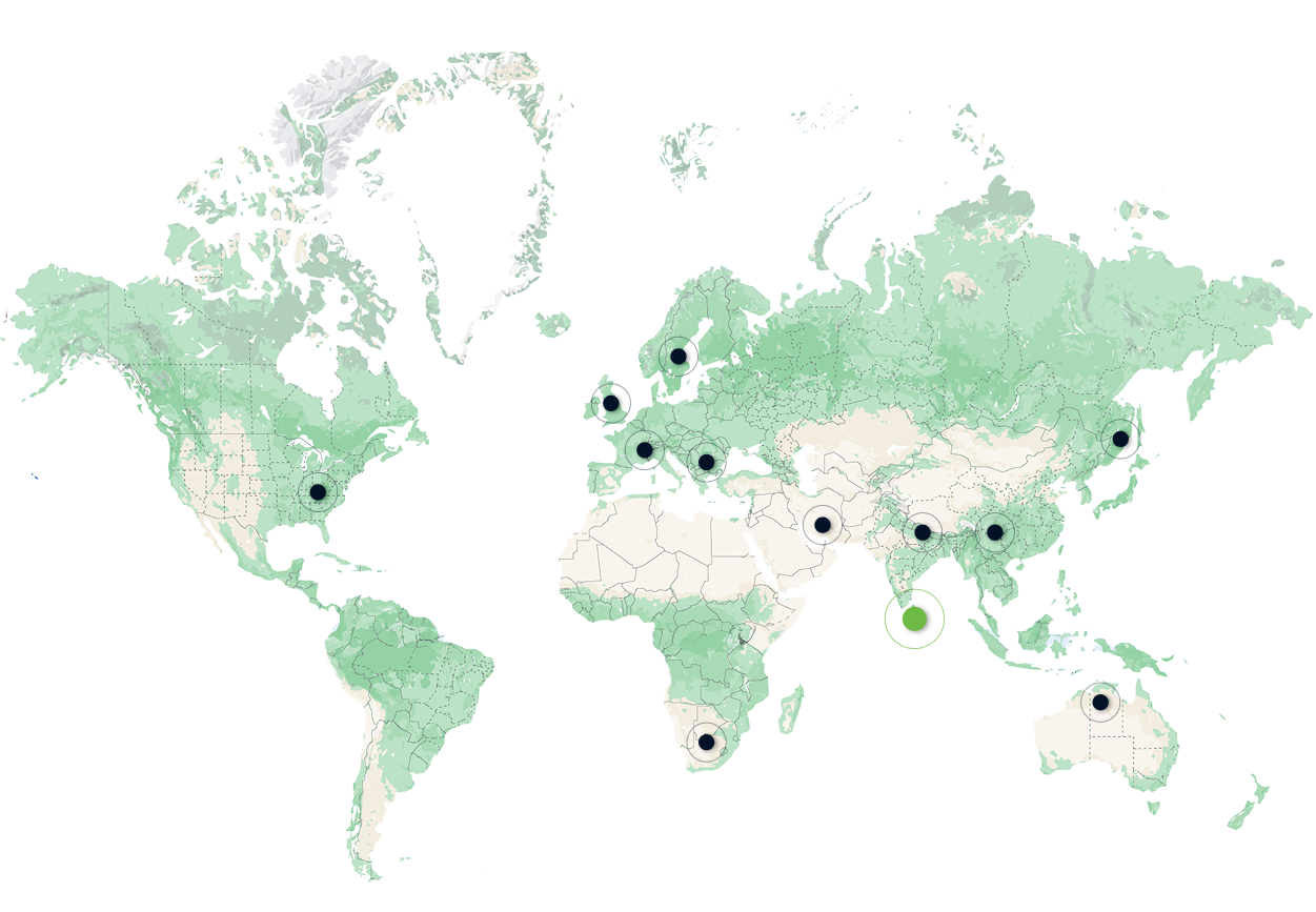 The World Map